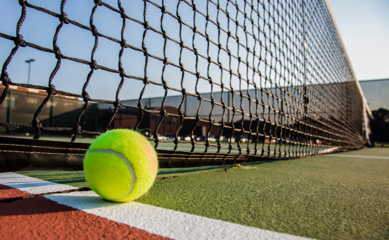 Tennis Court with a Net and Ball on it